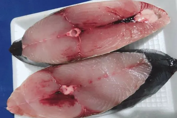 10 loại cá bình dân nhưng bổ ngang cá hồi, ra chợ là mua được