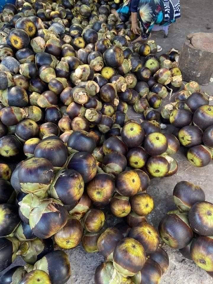 5 loại trái cây đặc sản miền Tây, cả nước hiếm nơi tìm thấy