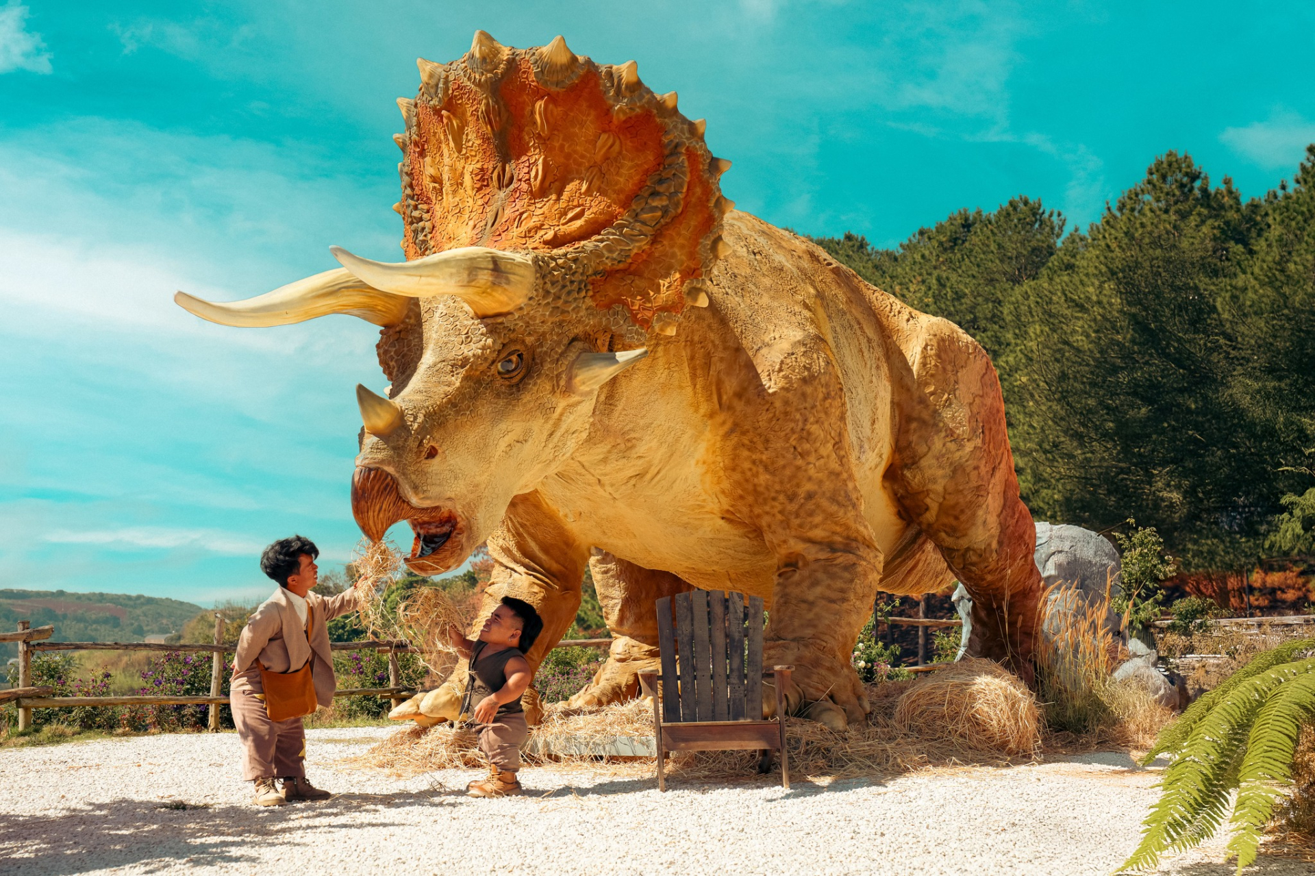 Khách Tây đến Việt Nam tham quan 