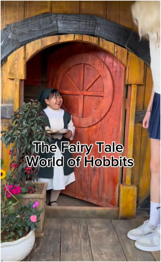 Khách Tây đến Việt Nam tham quan 