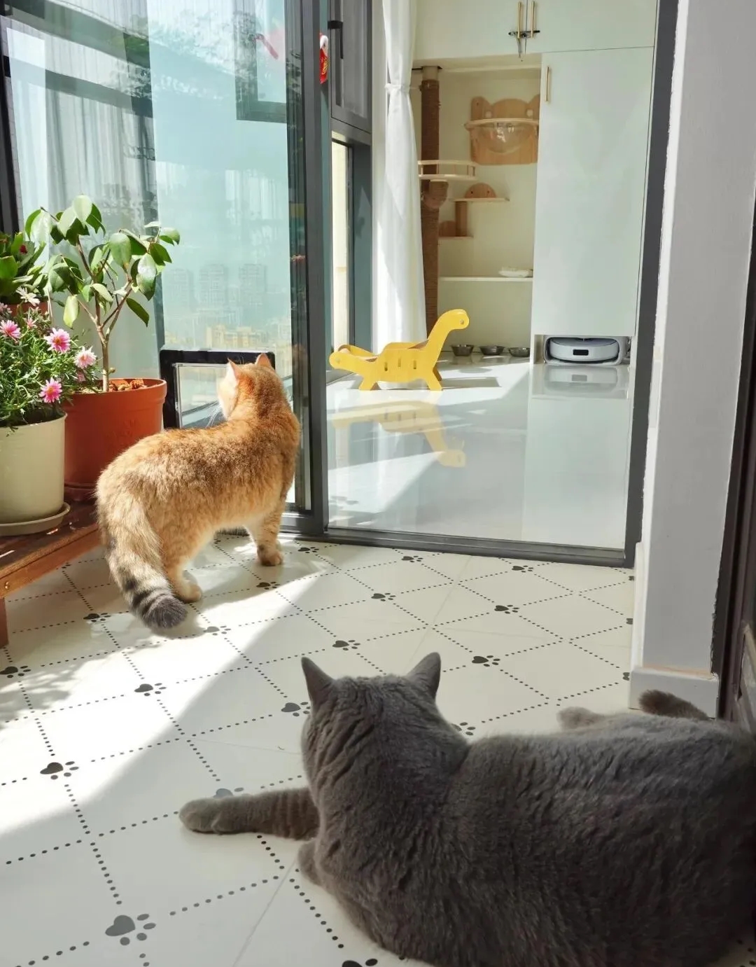 Cải tạo ban công 8m2 quá vi diệu, cái kết khiến hàng xóm cũng muốn 