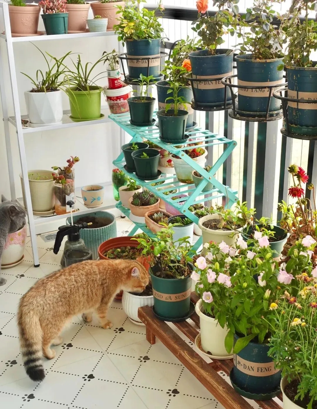 Nơi đây vừa là khu trồng hoa, vui chơi của thú cưng, vừa là nơi thưởng trà, đọc sách,...