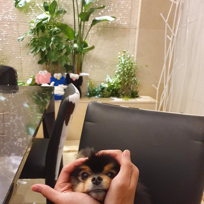 Không gian sống cực thoáng đãng, rộng rãi