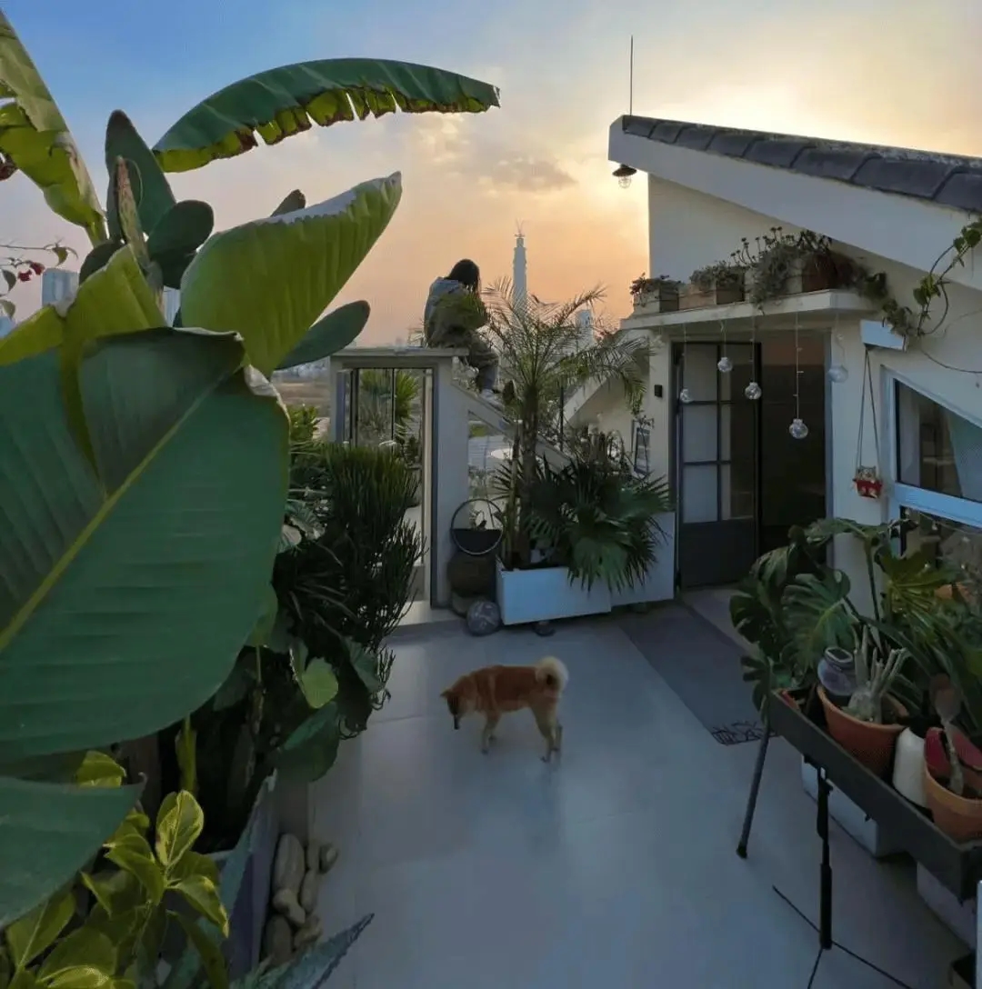 Cuộc sống chill chill đúng nghĩa.