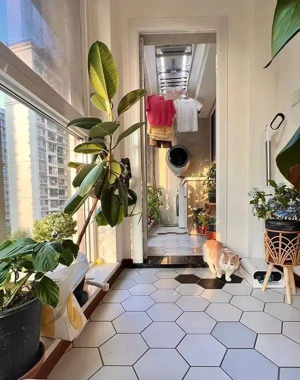 Cải tạo ban công 8m2 quá vi diệu, cái kết khiến hàng xóm cũng muốn 