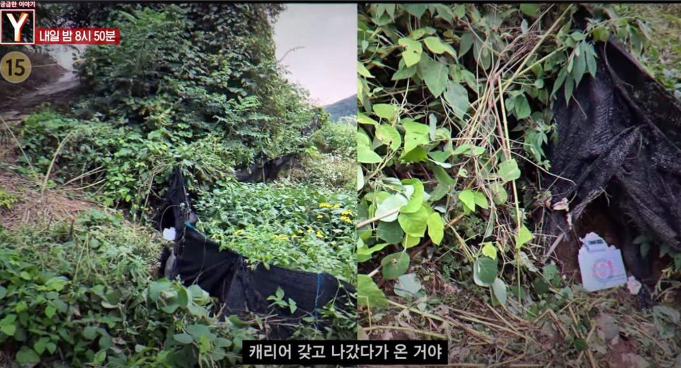 Nữ diễn viên xinh đẹp bị sát hại dã man, giấu xác trong 1 bụi rậm ở trên núi. Ảnh: Nate