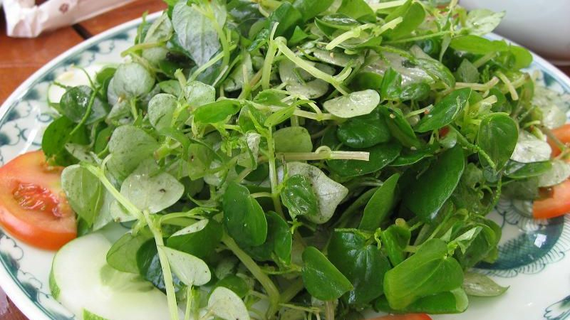 Cây rau dại mọc hoang nay thành đặc sản, được ví như “thảo dược quý” tốt ngang nhân sâm, có thời điểm giá đắt hơn thịt