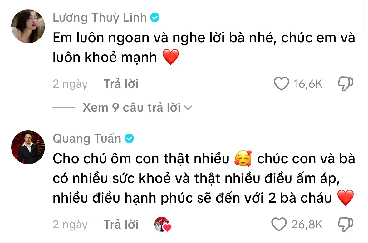 Nhiều người nổi tiếng để lại bình luận động viên hai bà cháu. Ảnh chụp màn hình.