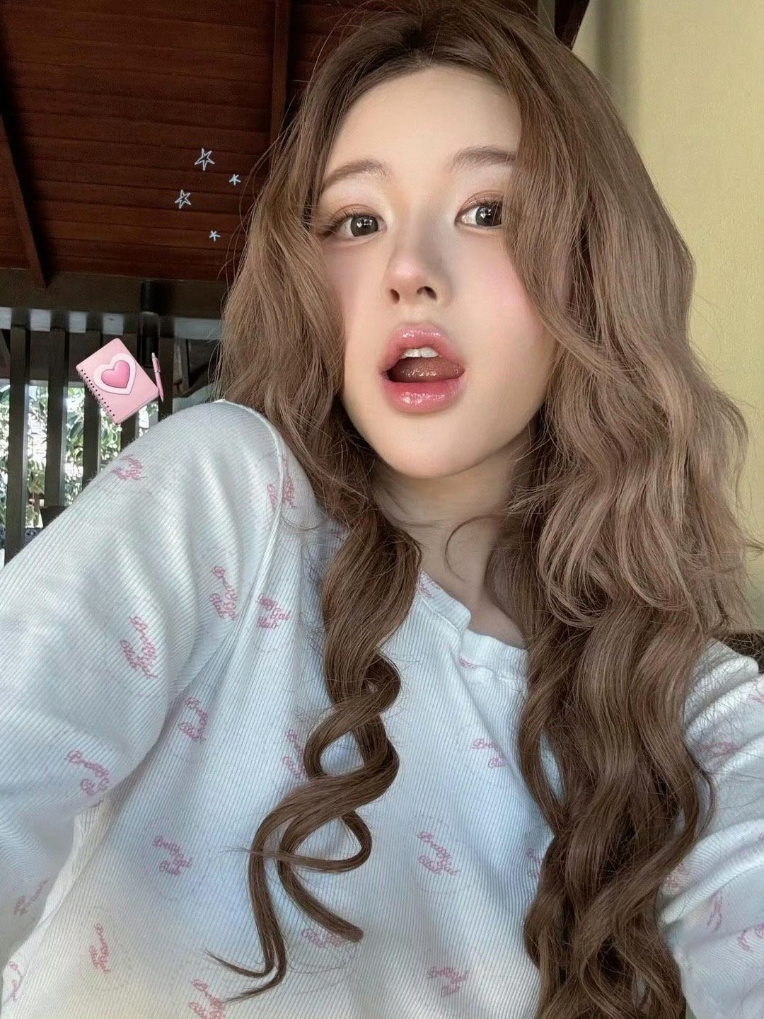 Triệu Lộ Tư từng được coi là người dẫn đầu lứa tiểu hoa đán 95