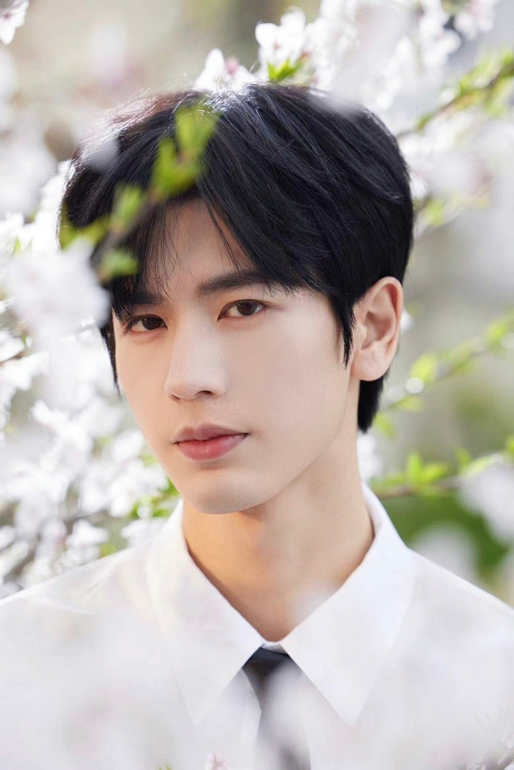 Trương Lăng Hách là tiểu sinh triển vọng của showbiz. Ảnh: Weibo