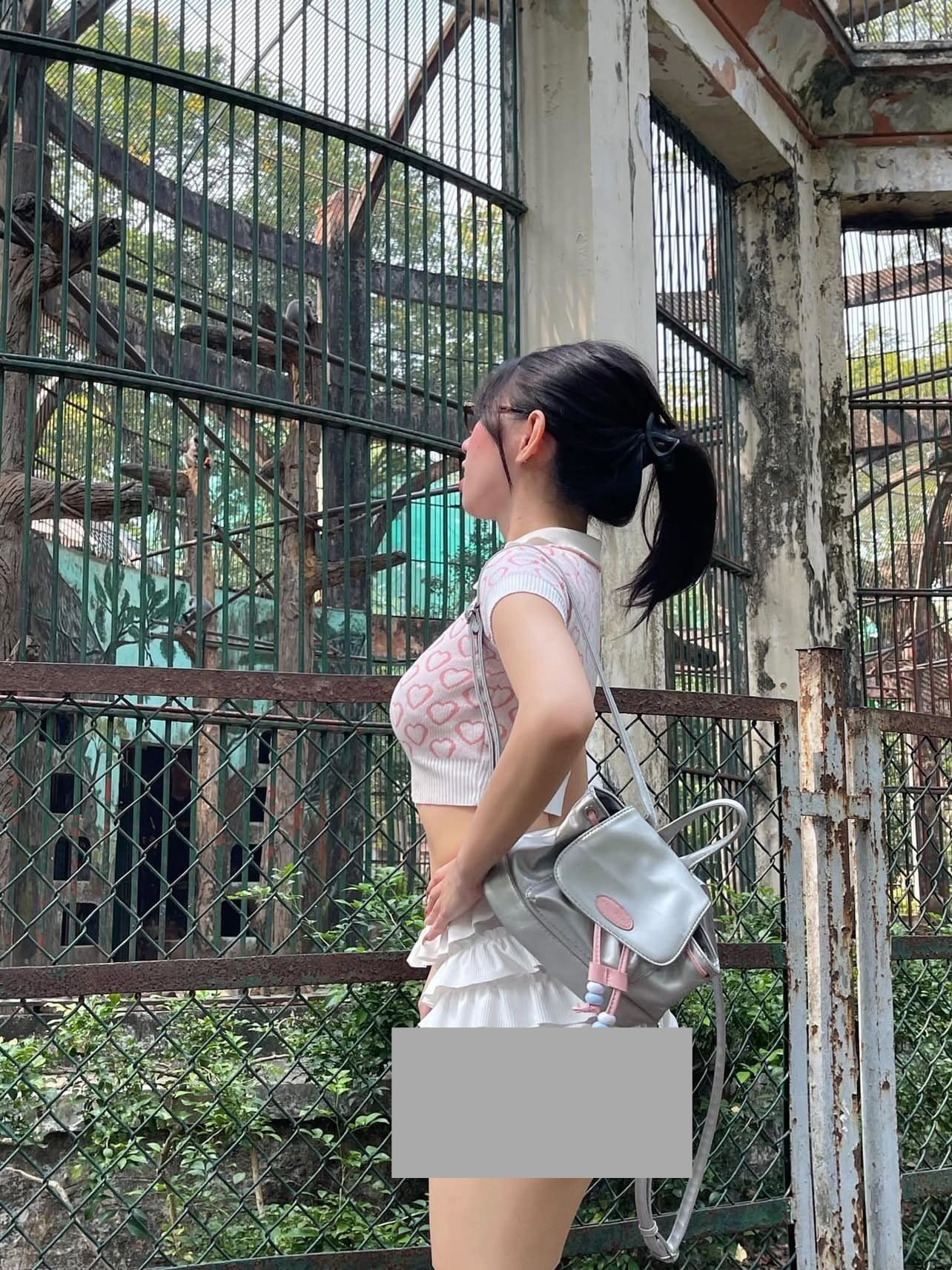 Hình ảnh trong bài đăng viral