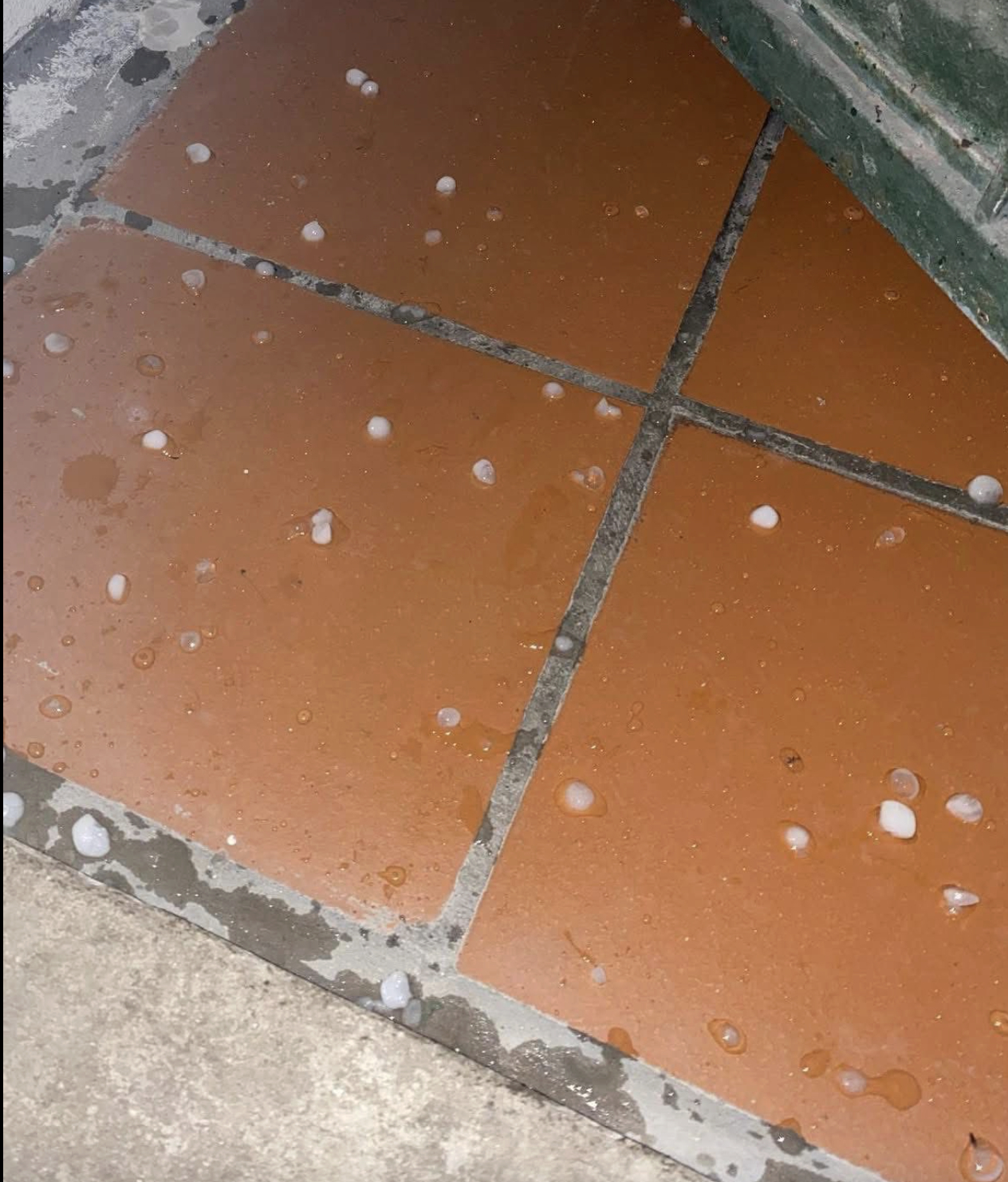 Ảnh: Hà Nội Fan