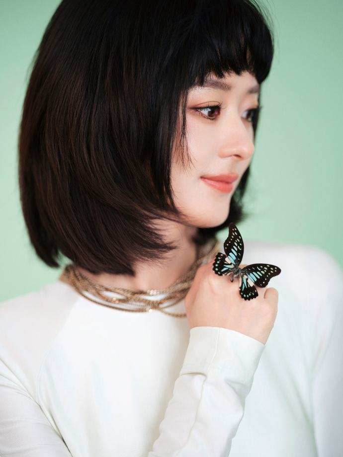 Thu nhập của Triệu Lệ Dĩnh chủ yếu đến từ việc đóng phim (Ảnh: Sina).