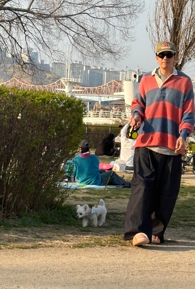 Lee Kwang Soo dắt cún cưng của bạn gái Lee Sun Bin đi dạo mới đây. Ảnh: Koreaboo