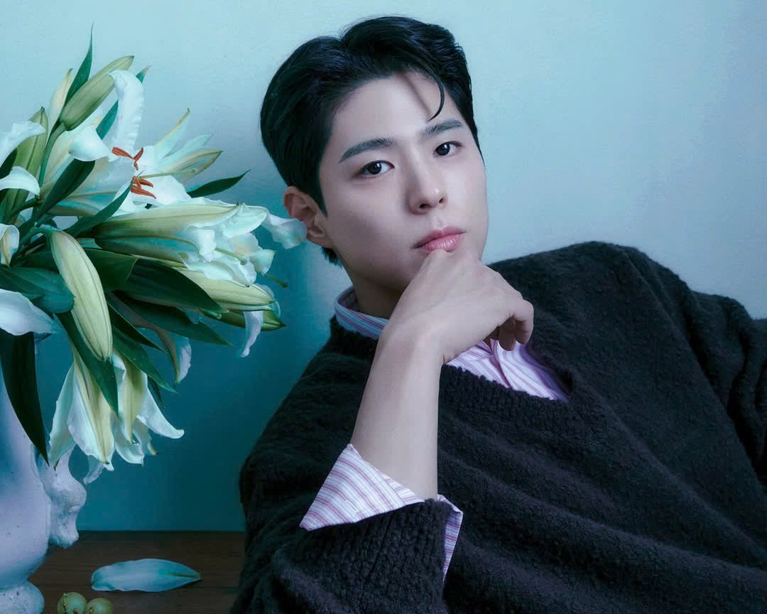 Park Bo Gum khẳng định tên tuổi qua nhiều vai diễn trong phim truyền hình đình đám (Ảnh:X)