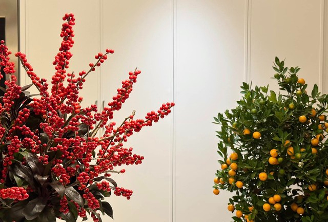 Cây cảnh và hoa tươi là những món đồ không thể thiếu trong không gian sống của gia đình nàng Hậu