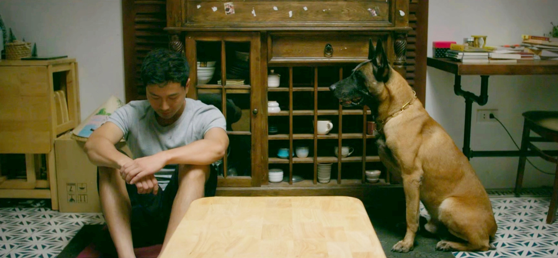 Chú chó Coddy là nhân vật được yêu thích nhất phim