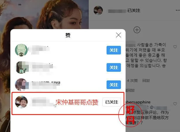 Anh trai Song Joong Ki like nhiều bình luận chỉ trích em dâu cũ. Ảnh: X