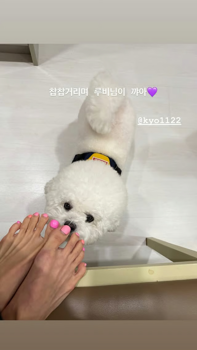 Jo Yeo Jeong vừa tung hình ảnh được chụp lại khi cô tới chơi nhà Song Hye Kyo. Đáng chú ý, khoảnh khắc nữ minh tinh Ký Sinh Trùng chơi đùa cùng cún cưng của Song Hye Kyo đã gây sốt mạng xã hội xứ củ sâm. Ảnh: IGNV