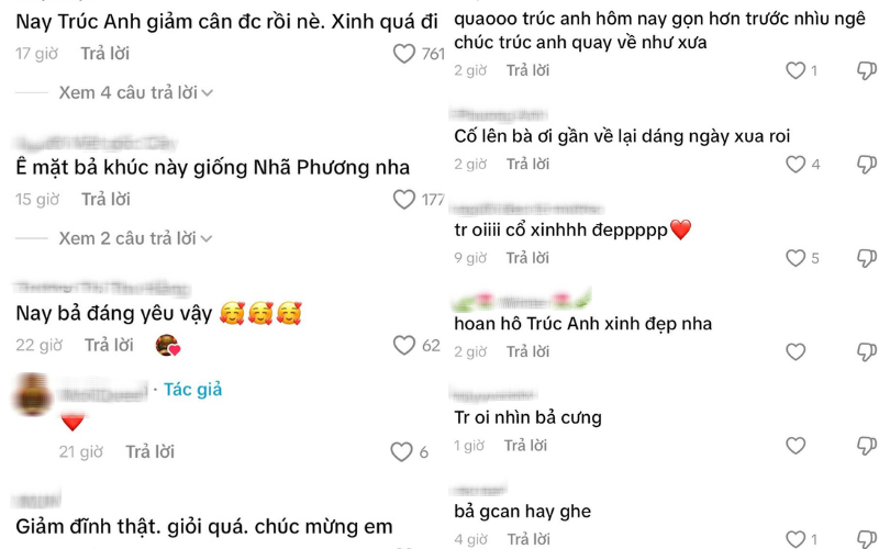 Không ít khán giả cũng dành cho Trúc Anh những lời khen và động viên, mong nữ diễn viên có thể sớm quay về được sắc vóc như xưa.