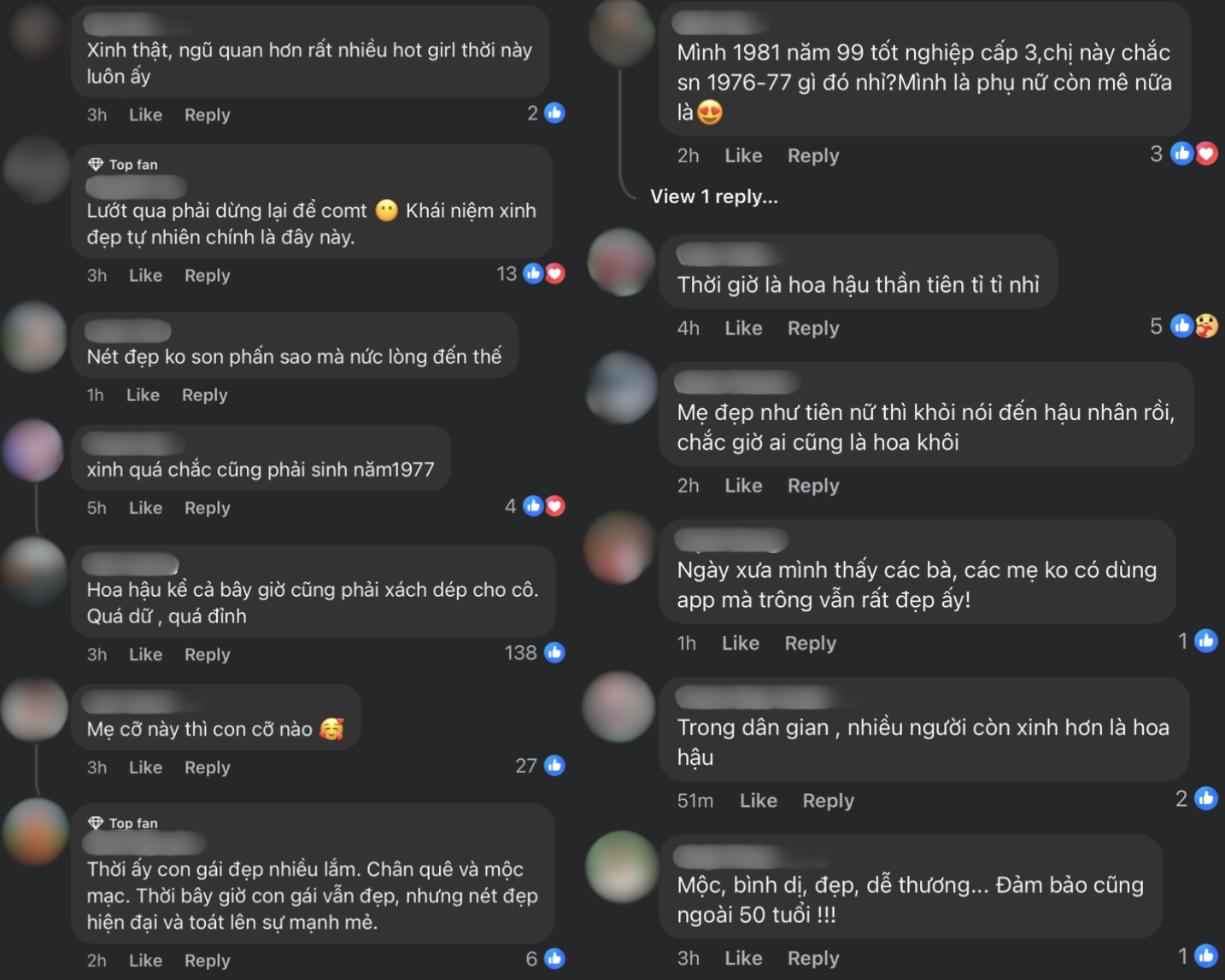 Vẻ đẹp của nhân vật chính khiến cư dân mạng ở đủ các lứa tuổi bị thu hút, quan tâm và để lại bình luận (Ảnh chụp màn hình).