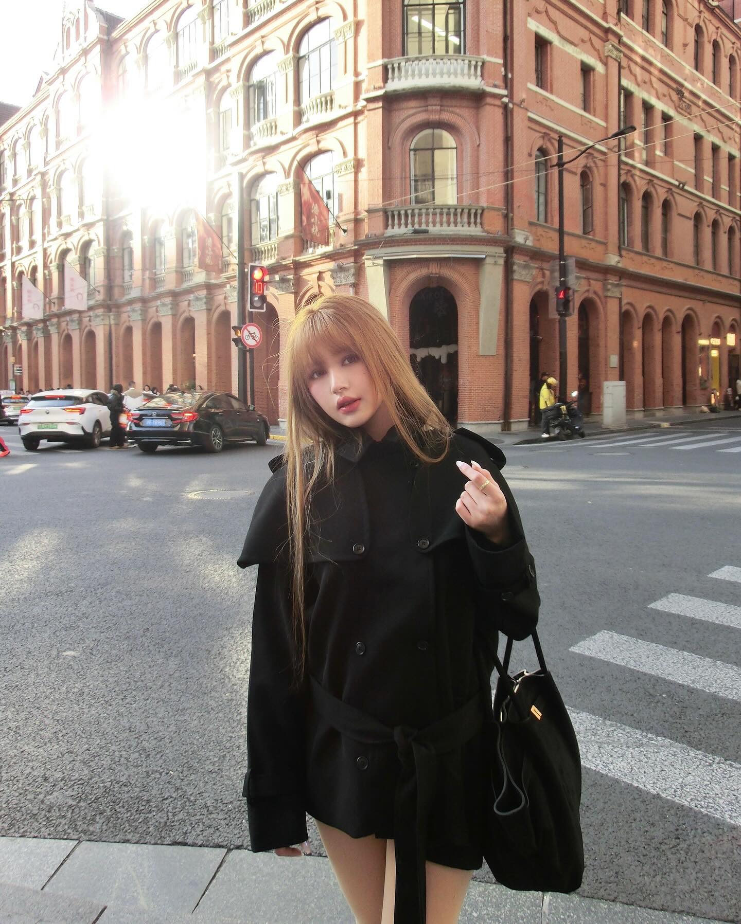 Xoài Non (Ảnh IGNV).