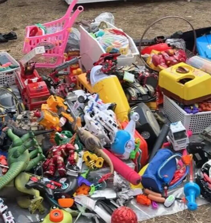 Cô bị chỉ trích 