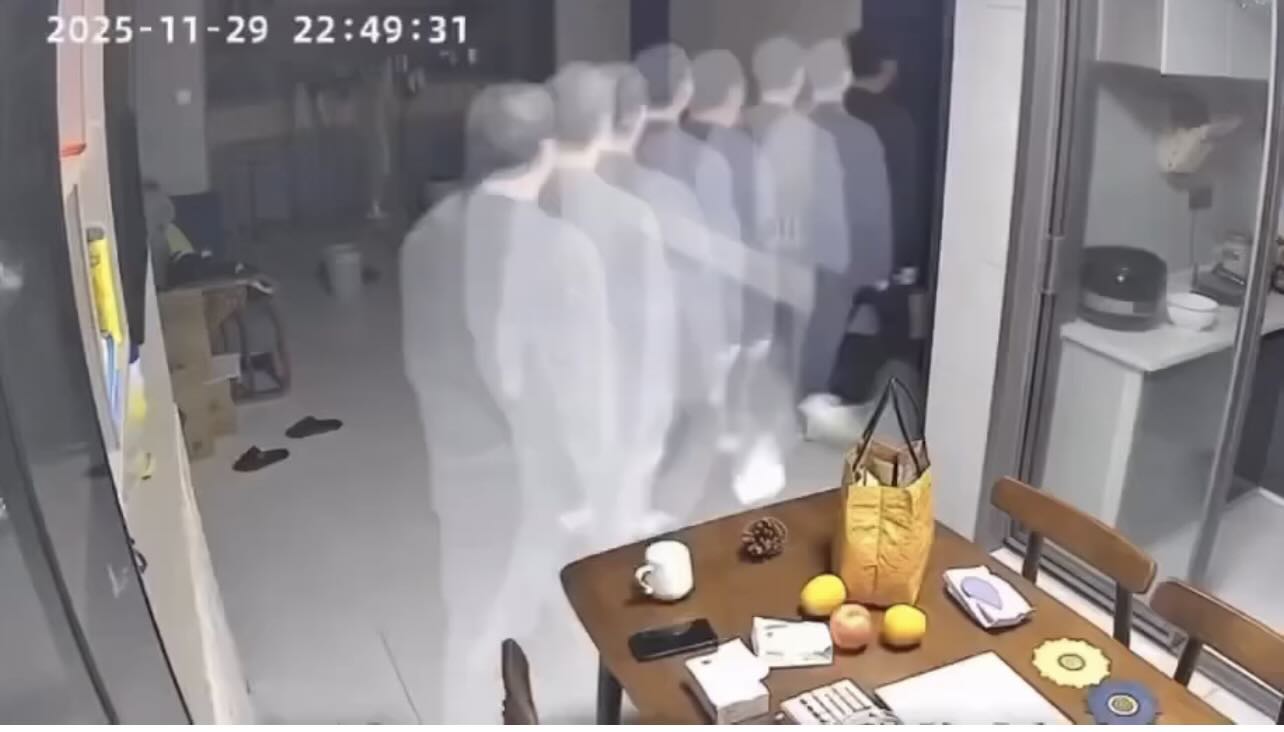 Mở camera lên thấy chó được “nhân bản” thành cả đàn, có 7 người chồng trong nhà