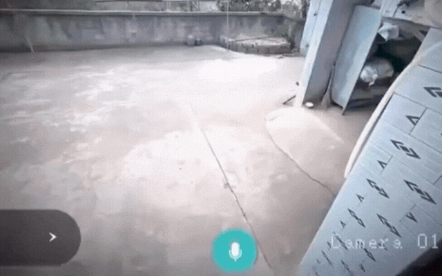 Chắc mở camera lên mà thấy cảnh này chắc nhiều người không khỏi giật mình.