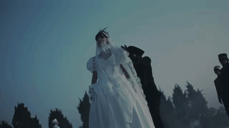 Chưa bao giờ thấy 