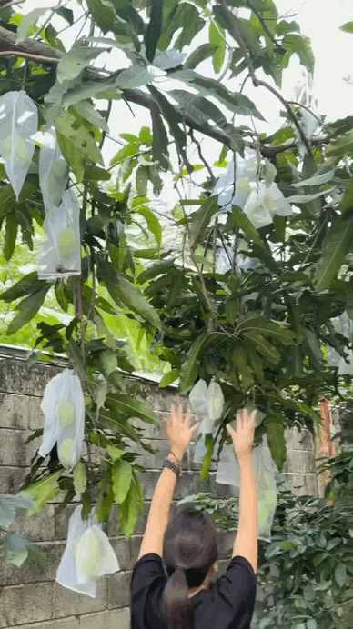 Thứ quý giá nhất trong biệt phủ nghìn mét vuông của Mỹ Tâm