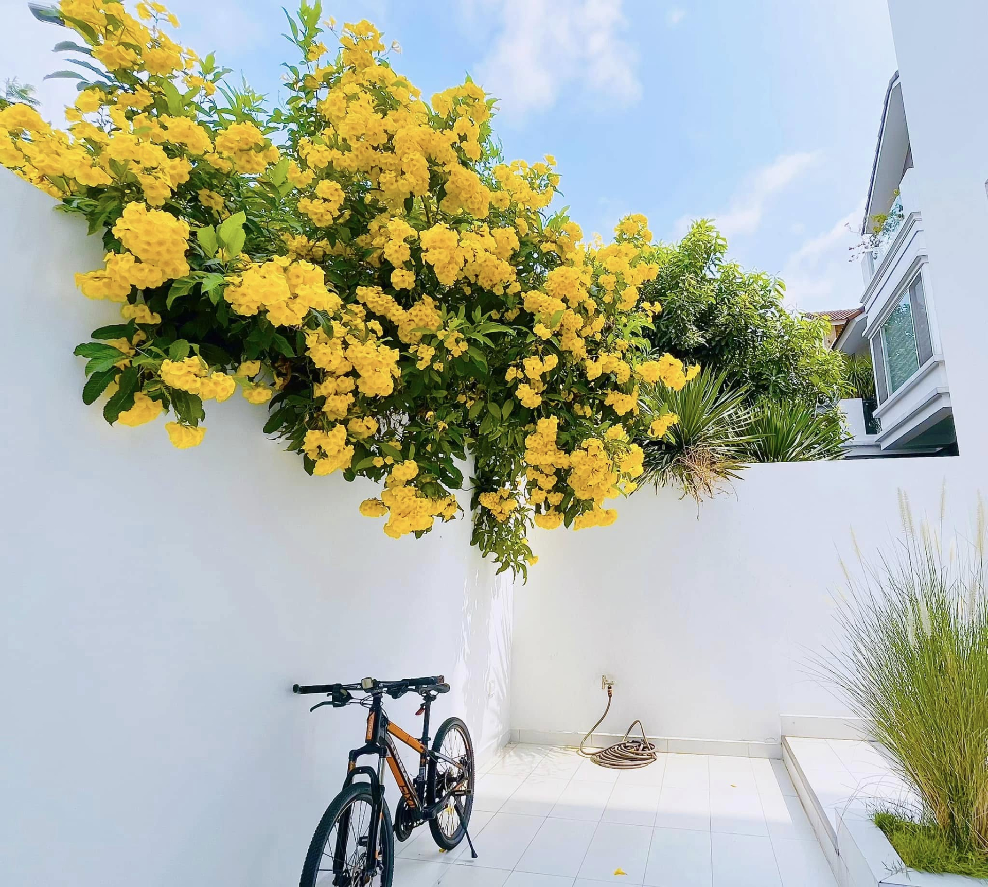 Thuỷ Tiên hé lộ một vài ngóng ngách bên trong biệt thự