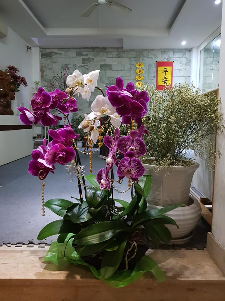 Không gian bên trong nhà MC Lại Văn Sâm