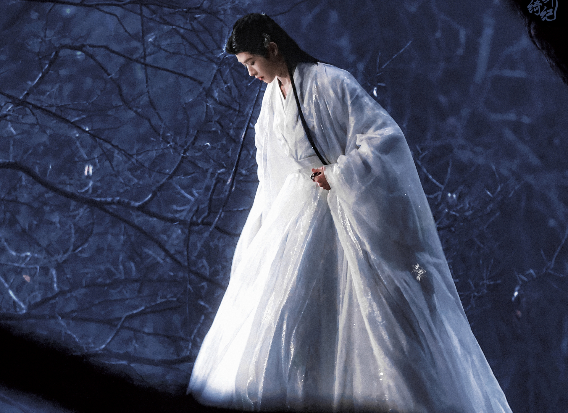 Một số tạo hình của Điền Gia Thụy trong phim