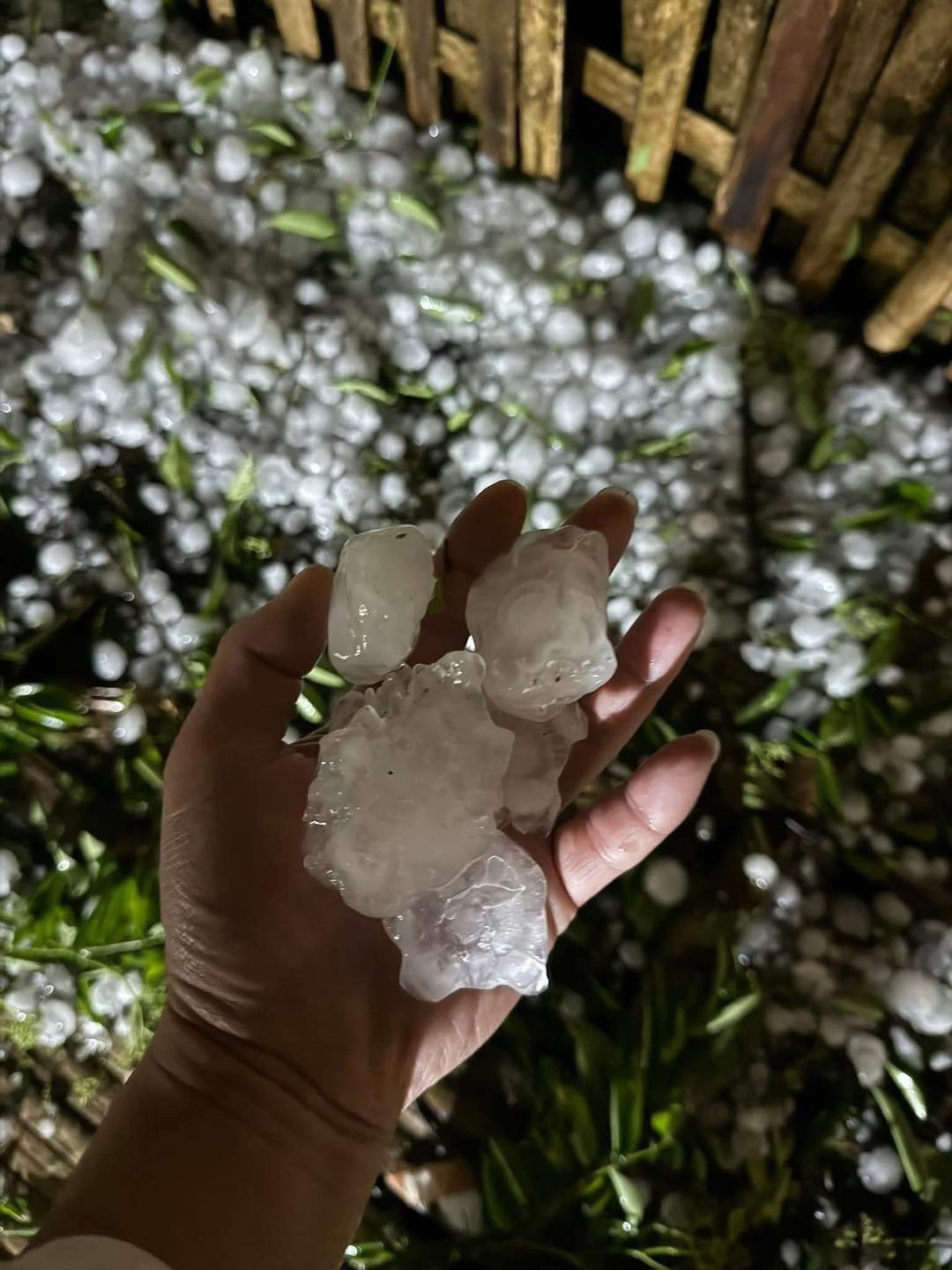 Những viên đá có kích thước lớn