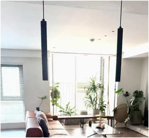 Phòng khách rộng, trồng nhiều cây xanh.