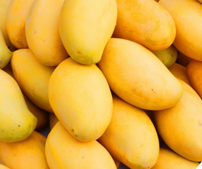 Top 5 loại quả mùa hè dễ “ngậm” thuốc trừ sâu nhất