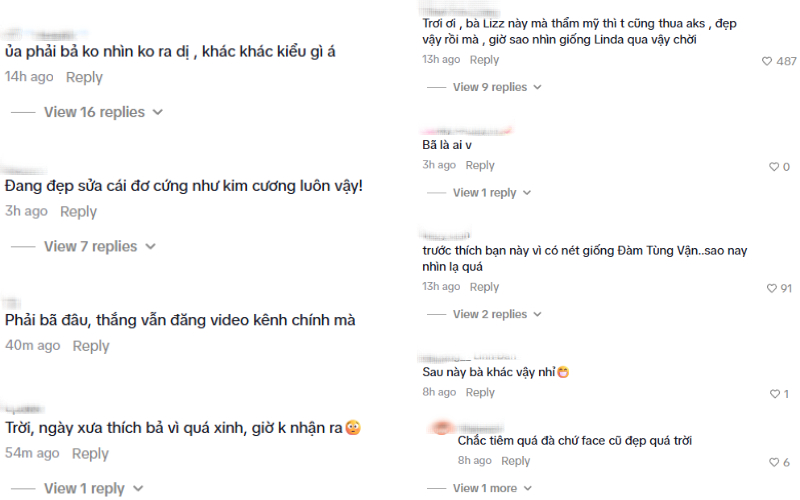 Netizen không nhận ra Liz Kim Cương, đồng thời tiếc nuối vì cô đã can thiệp thẩm mỹ. 