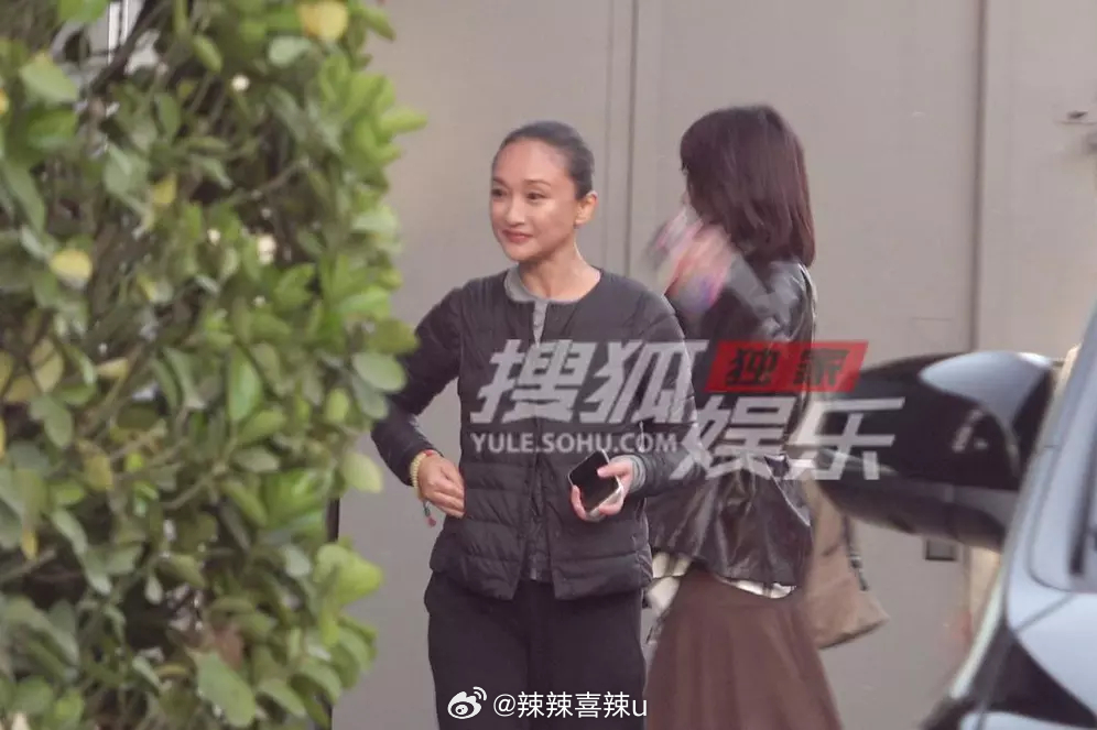 Hình ảnh gần đây nhất của Châu Tấn, làn da ở cổ và mặt đều lộ dấu vết lão hóa, chân tóc dần cao hơn