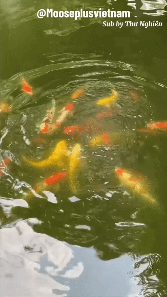 Phú bà ở biệt phủ 1200m2 thừa kế từ gia tộc: Chưa 1 lần lộ mặt chồng con, cuộc sống thượng lưu như bước ra từ tiểu thuyết