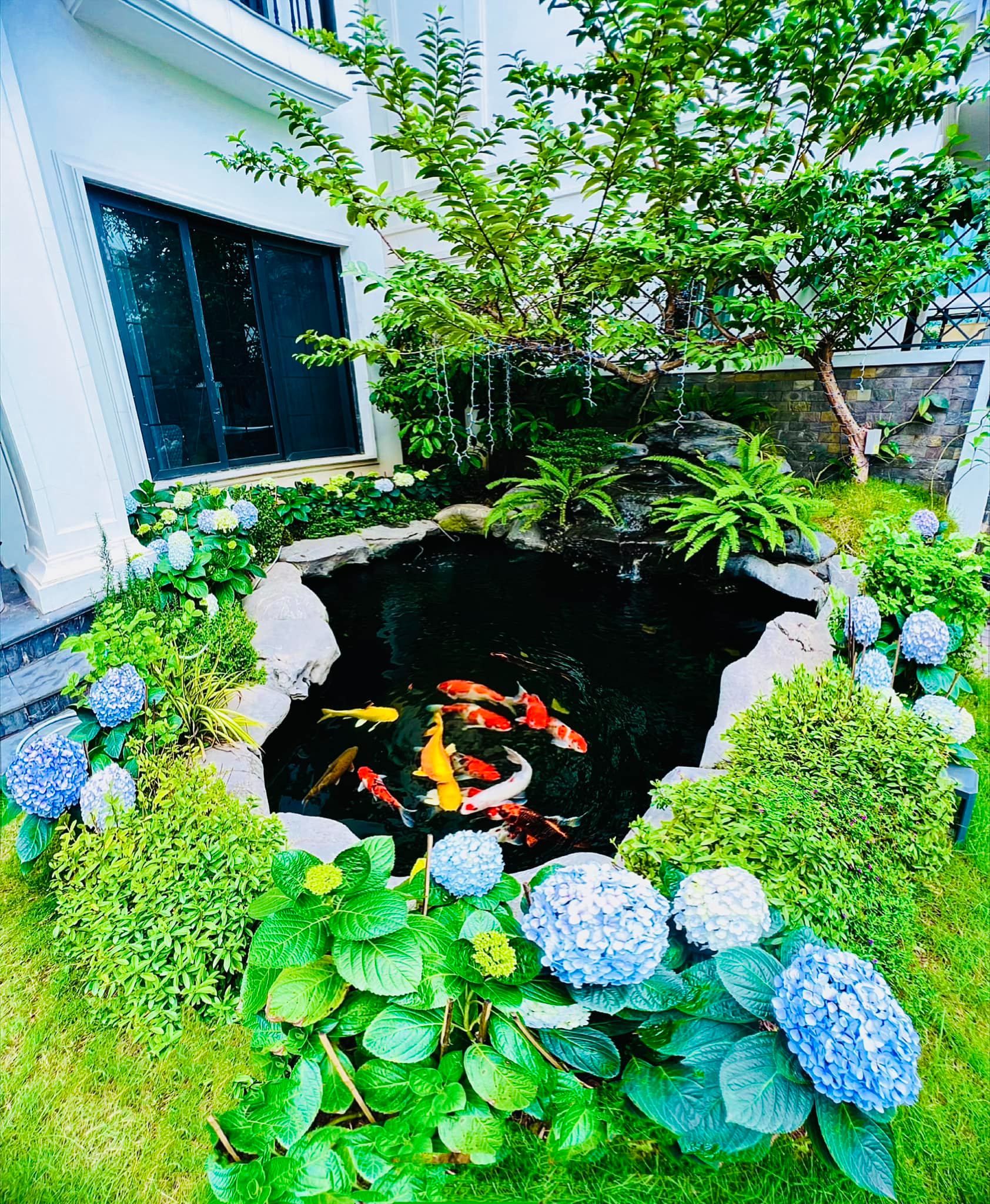 Hồ cá koi trước nhà