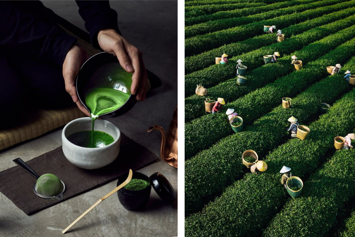 Matcha đang đứng trước tình trạng khan hiếm 