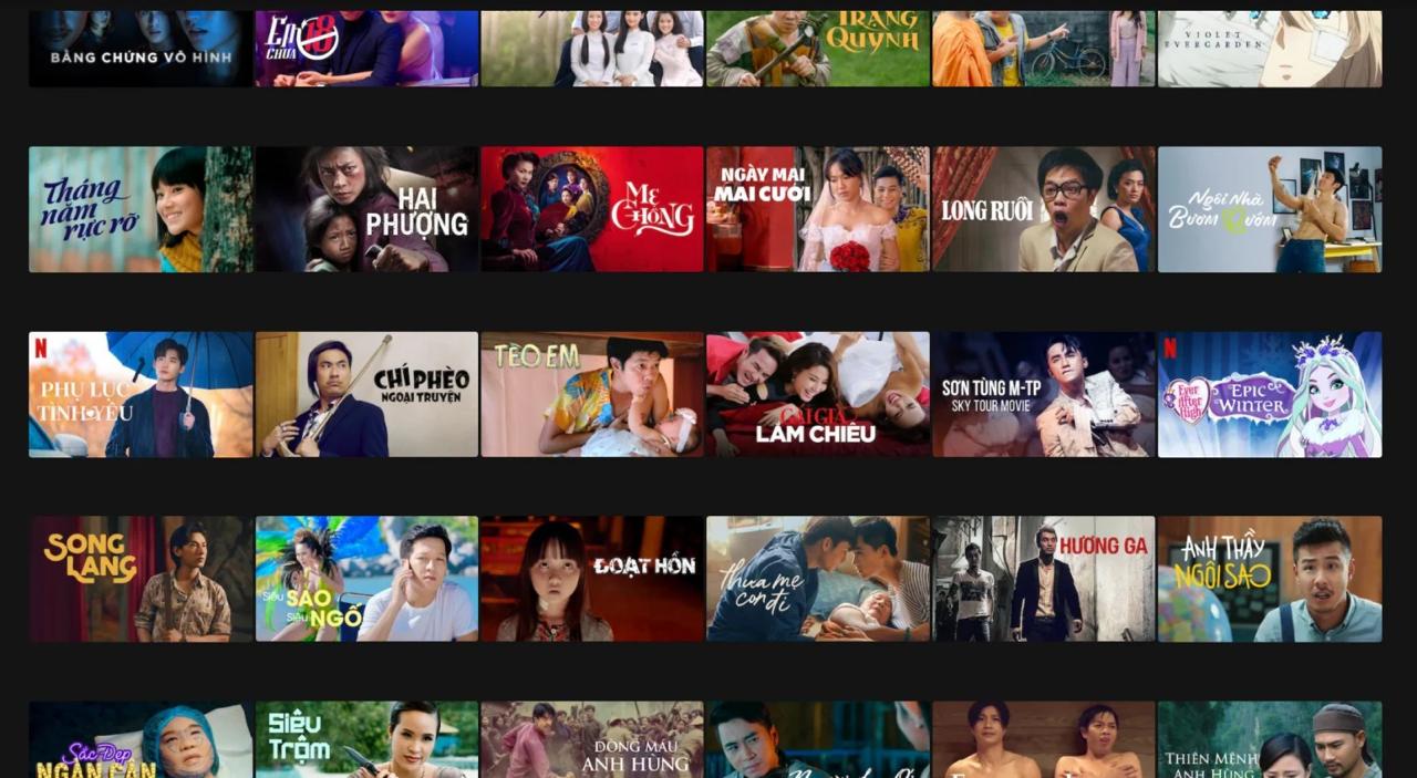Netflix từng góp phần thay đổi thói quen xem phim có bản quyền của khán giả Việt Nam