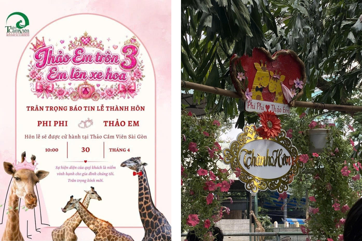 Thiệp mời và cổng cưới của cô dâu và chú rễ (Ảnh: Thảo Cầm Viên Sài Gòn, @hong nhi)