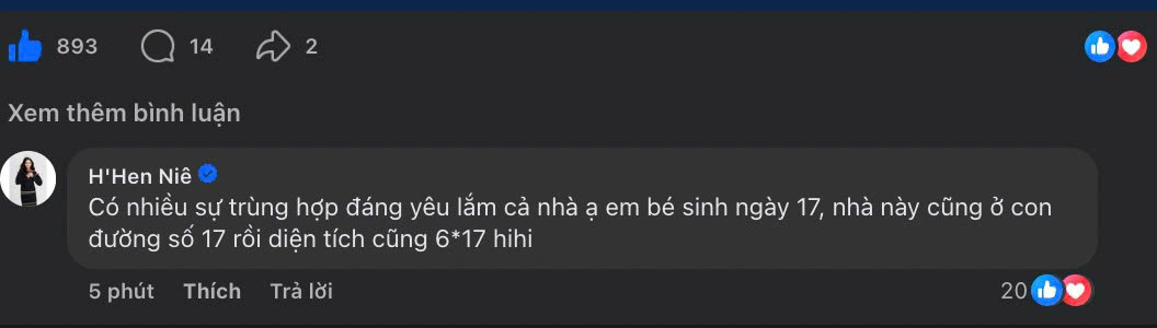   Người đẹp cùng lúc đón nhận tin vui chính là có con và ngôi nhà mới ở thành phố Hồ Chí Minh. Ảnh: FBNV  