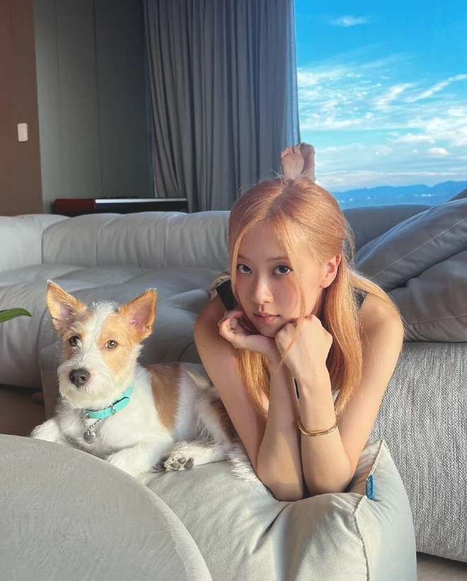 BLACKPINK đọ bất động sản: Jisoo tậu penthouse 370 tỷ, Jennie - Lisa đều có biệt thự ở Mỹ, Rosé chill quên mặt đất trong căn hộ tầng cao