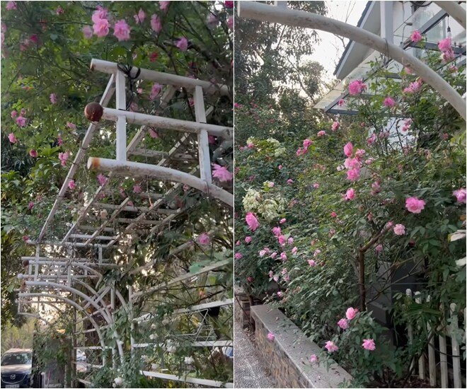 NSND Xuân Bắc sống 2 “cuộc đời”: Khi là nghệ sĩ, khi là 