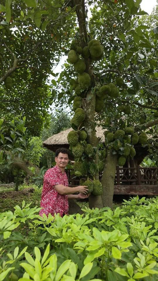 NSND Xuân Bắc sống 2 “cuộc đời”: Khi là nghệ sĩ, khi là 
