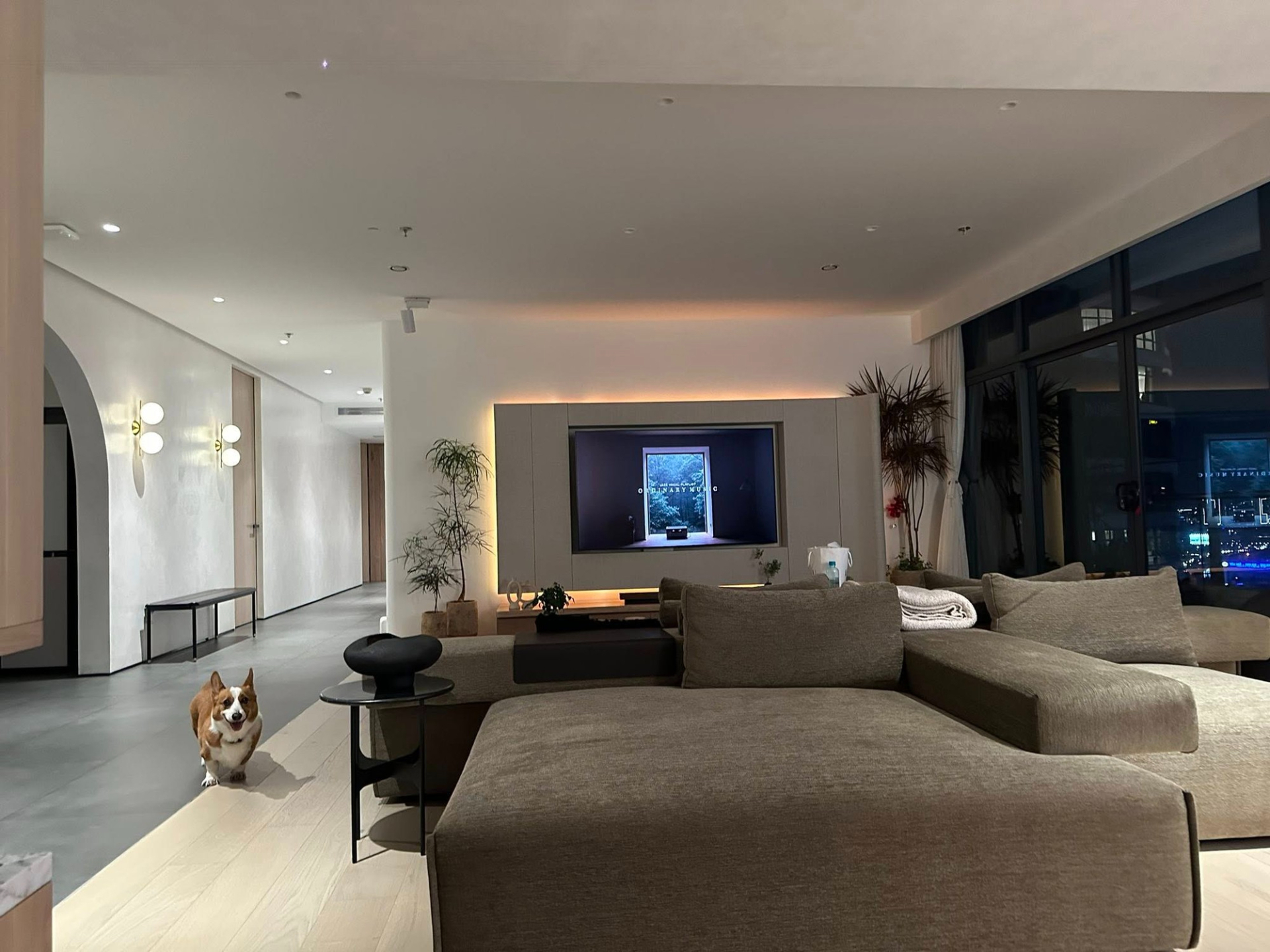 Phòng khách nổi bật với bộ sofa xám, tivi âm tường cùng nhiều loại cây cảnh khác nhau