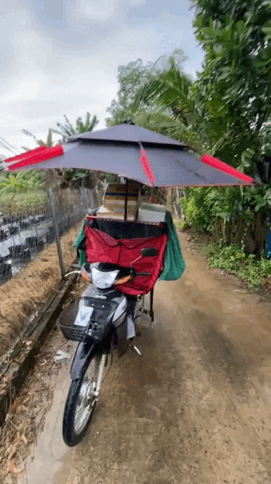   Nguồn ảnh: TikTok @thanhcoishiper  